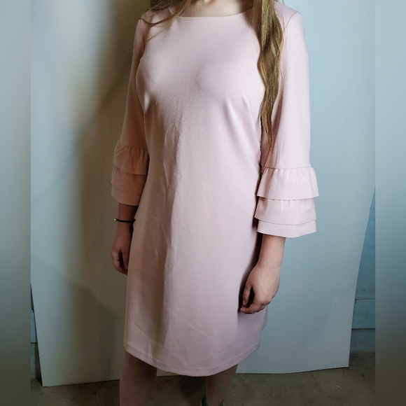 NWT Taylor Blush Shift Pink with Tiered Ruffled Sleeves.  Size 10. - Picture 2 of 8